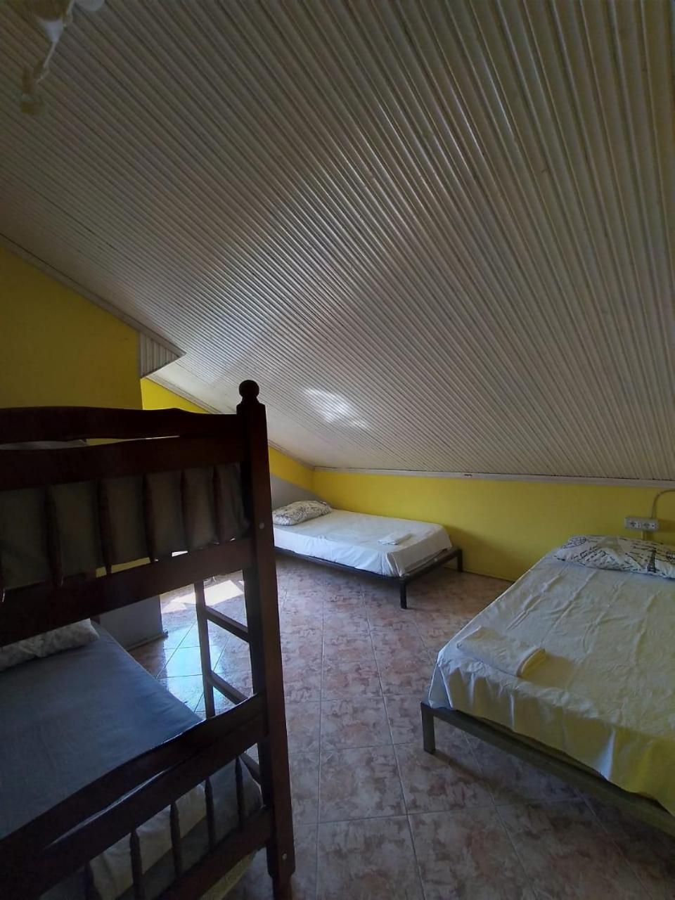 Our Way Guest House & Hostel Shkodër Rum bild